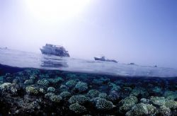 Under/over Red sea,Nikon f90x in aquatica housing,fish-ey... by José Silva 